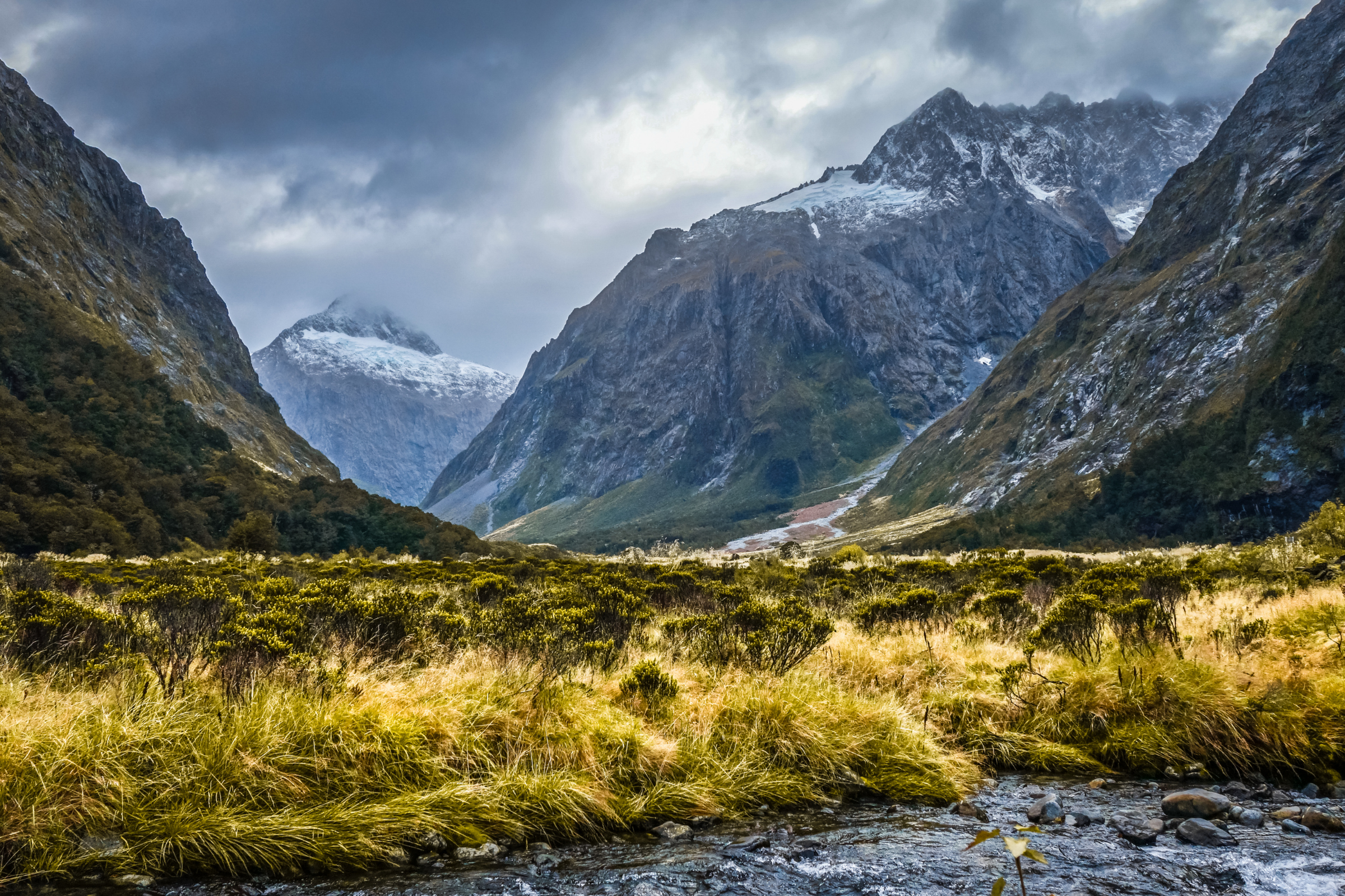 supper cove, fiordland national park (3).webp